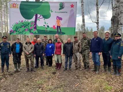 Билимбаевское лесничество