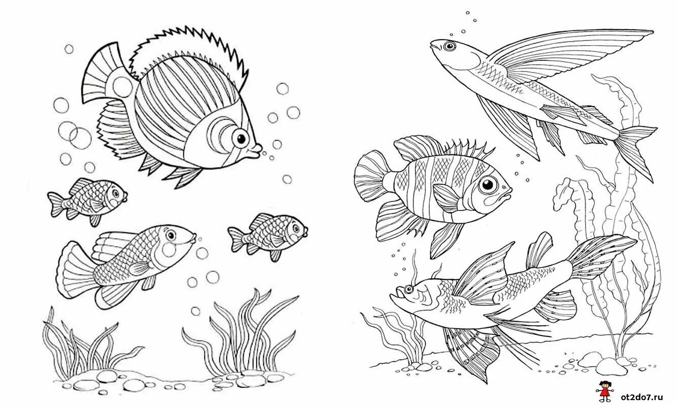 Раскраска рыбы для детей 6 лет. Рыба раскраска. Аквариумные рыбки раскраска. Раскраска рыбка. Рыбка раскраска для детей.