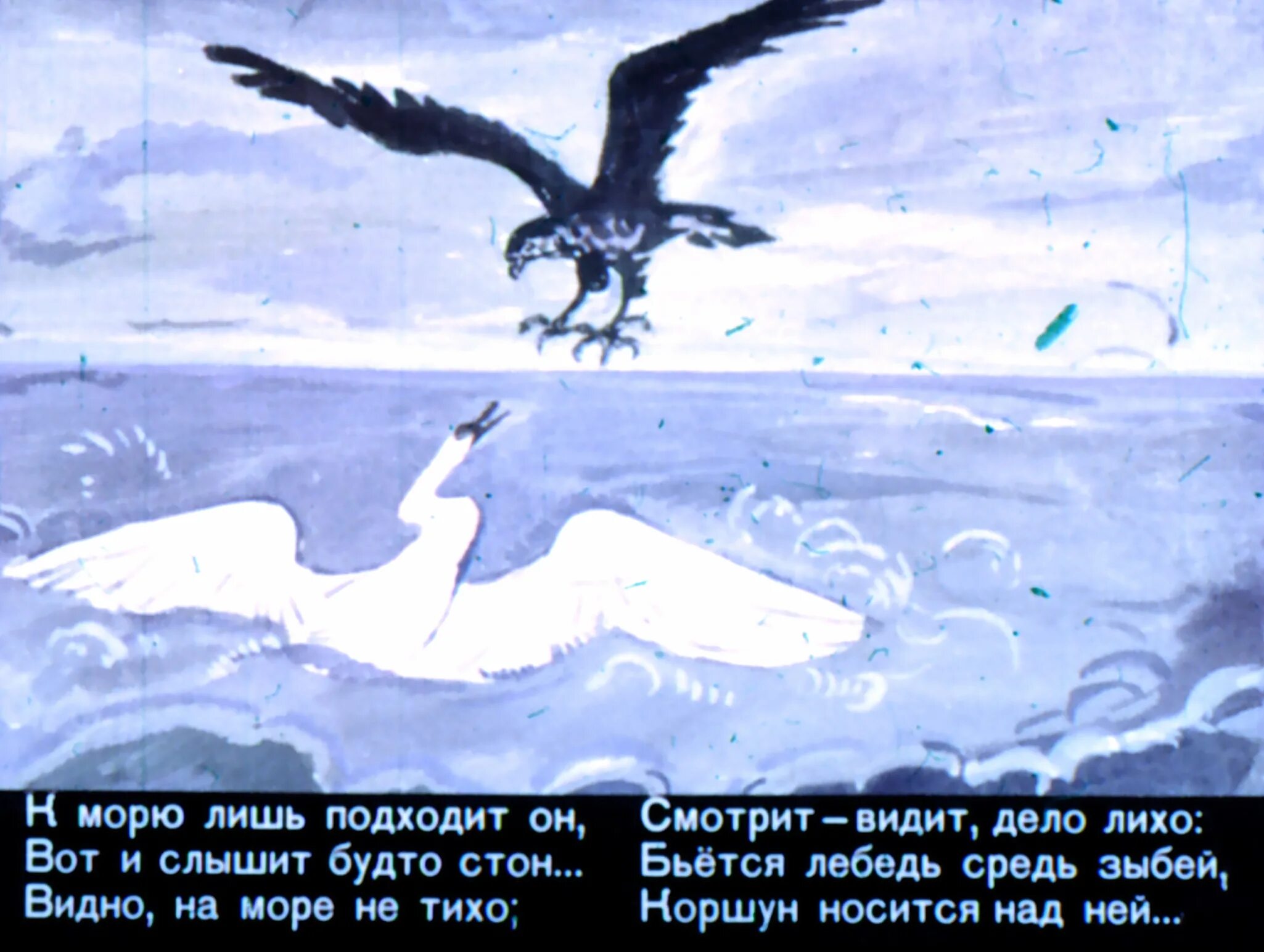 Пушкин сказка о царе Салтане лебедь и Коршун. Царь Салтан сказка лебедь и Коршун о царе. Иллюстрации сказка о царе Салтане Царевна лебедь и Коршун. Коршун и лебедь из сказки о царе Салтане. Смотрит коршун в море тонет