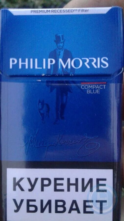 Филип Морис компакт Блю. Сигареты Филип Моррис компакт. Филип Моррис синий компакт Блю. Сигареты Philip Morris Compact Blue.