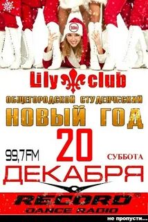 Новогодняя лила