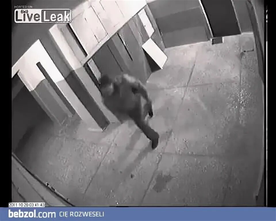 Если камера на оршанском шоссе. Камера наблюдения у перехода. Путин на акуле под водой. Камера в подъезде. Камеры по лицу.