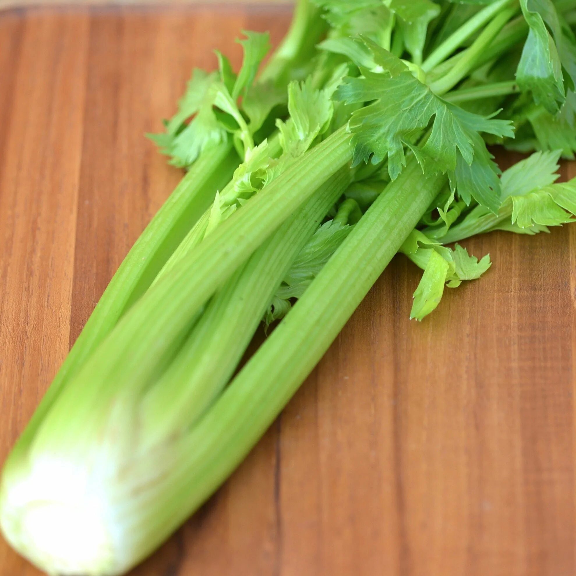 На что похож вкус сельдерея. Сельдерей черешковый (стеблевой). Зелень сельдерей черешковый. Сельдерей черешковый листья. Сельдерей черешковый и листовой.