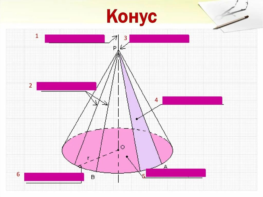 Конус геометрия 11. Конус. конус математический. презентация по геометрии конус. конус 11 класс.