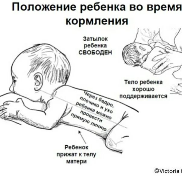 Показать как правильно давать. Схема прикладывания ребенка к груди. как правильно прикладывать новорожденного при кормлении. правильное положение новорожденного при вскармливании. как правильно прикладывать новорожденного при кормлении лежа.