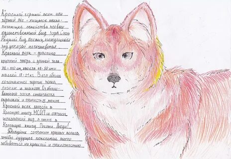 Нарисовать животное и описать его