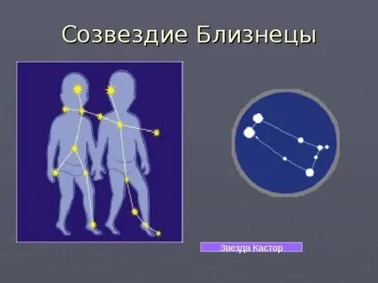 Близнецы размеры
