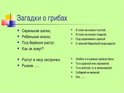 3 загадки про грибы