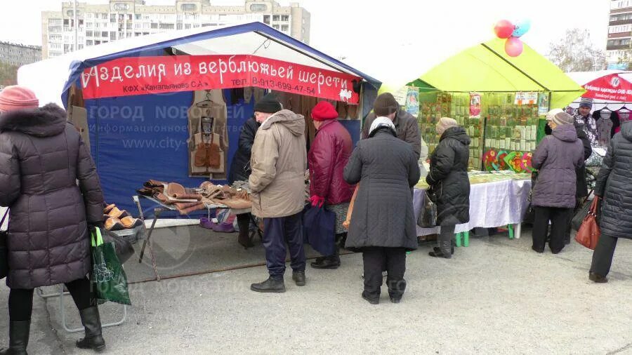 Когда будет ярмарка в асбесте. Куйбышевские сельскохозяйственные ярмарки. Когда будет ярмарка в асбесте. Ярмарка в асбесте 2024 когда будет летом. Социальная ярмарка в барнауле.