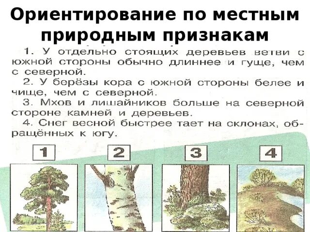 Природные признаки определения сторон горизонта. 5 Признаков ориентирования на местности. Как ориентироваться на местности по природным признакам. Ориентирование по природным признакам. Ориентирование по местным признакам.