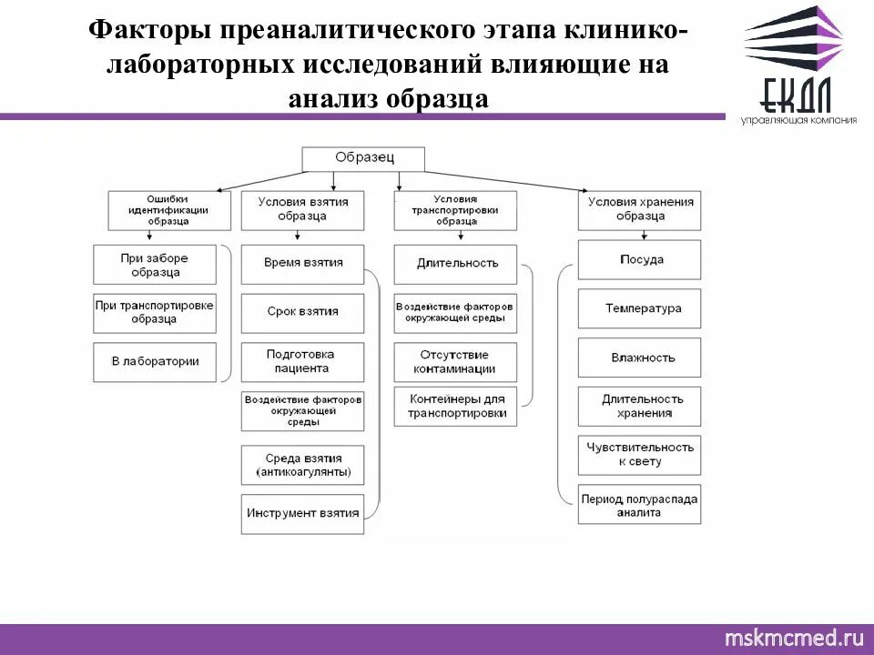 Этапы практического анализа. Факторы влияющие на аналитический этап лабораторного исследования. Этапы клинико лабораторного обследования. Централизация лабораторных исследований. Преаналитический этап лабораторных исследований.