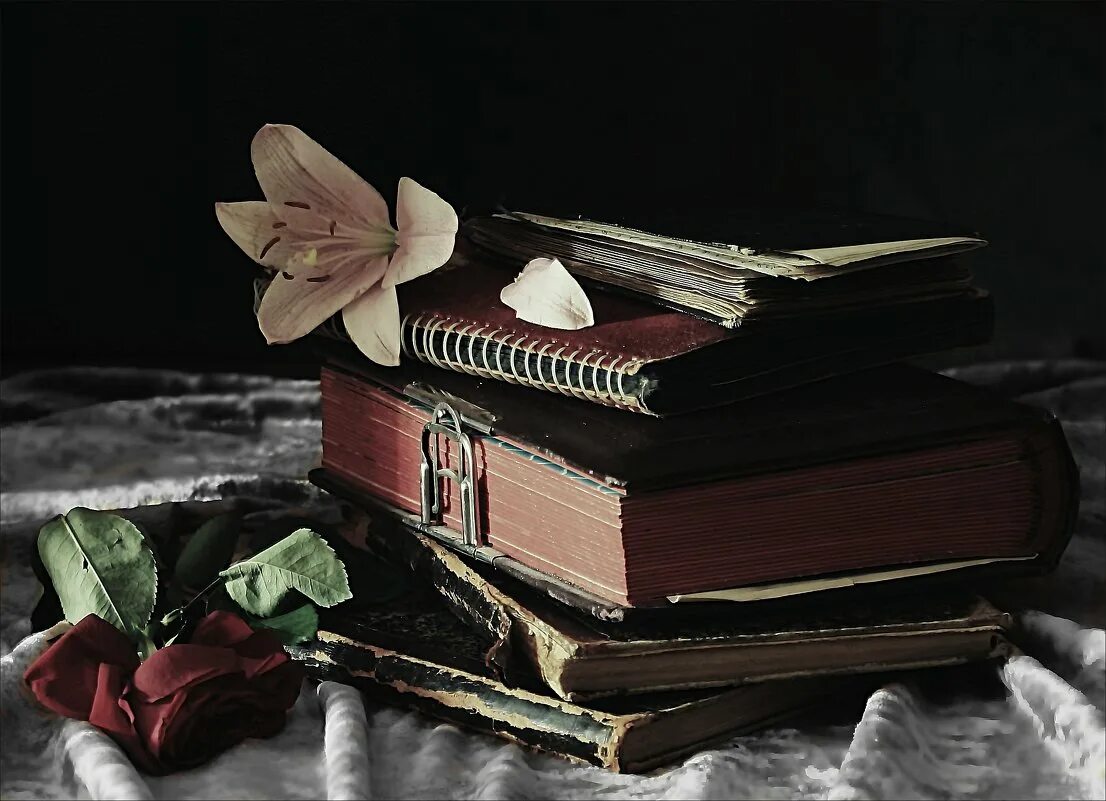 Подчас забываем открытку. С днем победы никто не забыт. Подчас забываем открытку. Scraping meaning. Подчас забываем открытку.