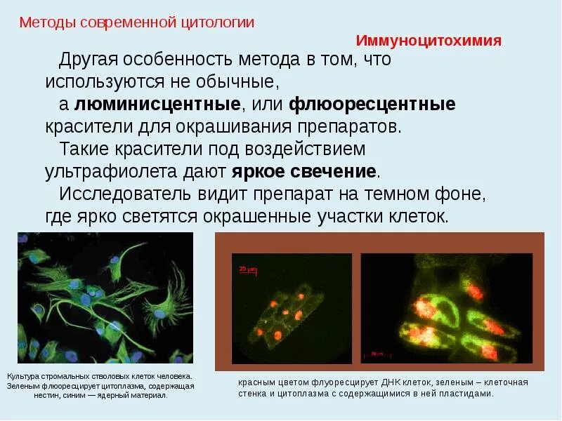 Использование в цитологии современных методов. Методы цитологических исследований клетки. метод изучения цитологии. методы изучения клеток цитология. современные методы исследования клетки цитология.