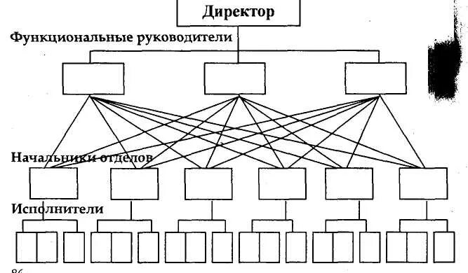 Функциональные связи между структурными элементами. Линейные и функциональные связи. линейно-функциональная структура картинки. виды организационных структур. типы организационных структур картинки.