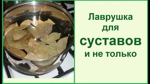 Как приготовить лавровый лист для суставов