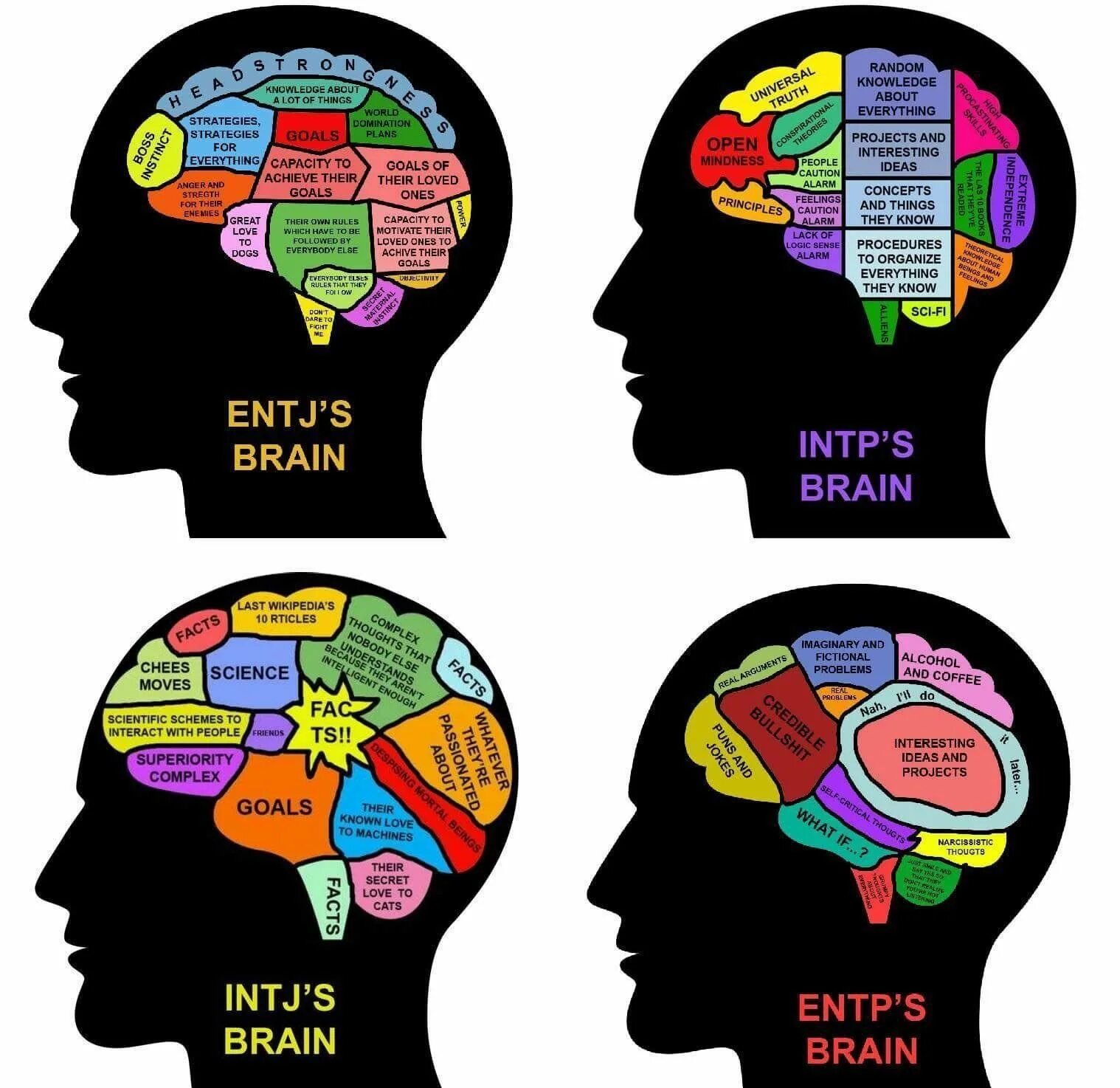 Open everything. MBTI личность ENTP. INTP функции MBTI. MBTI ENTP Brain. INTJ когнитивные функции.