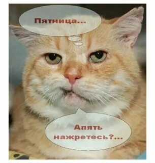 Вызывающе говорить