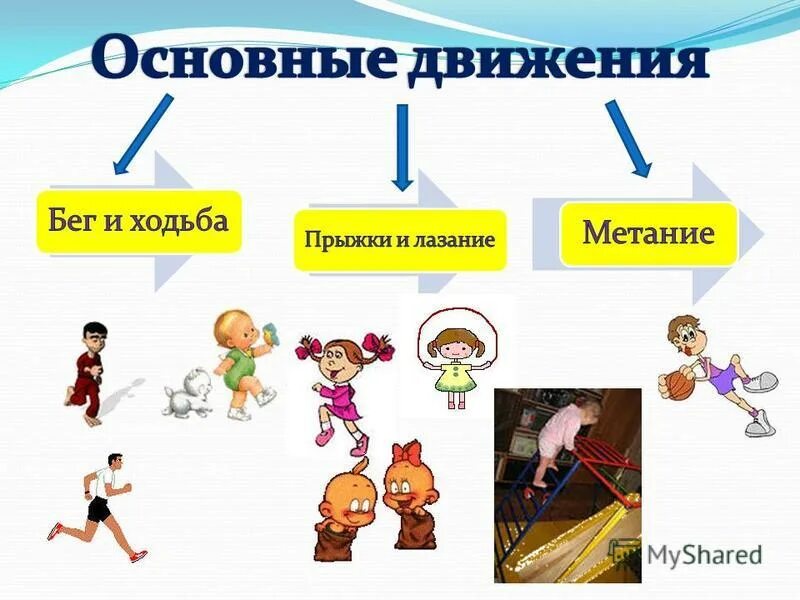 виды движения в детском саду. виды движений в детском саду. основные движения в доу. схема навыков выразительного движения детей. комплект плакатов дошкольников.