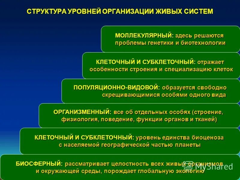 Уровни организации сети