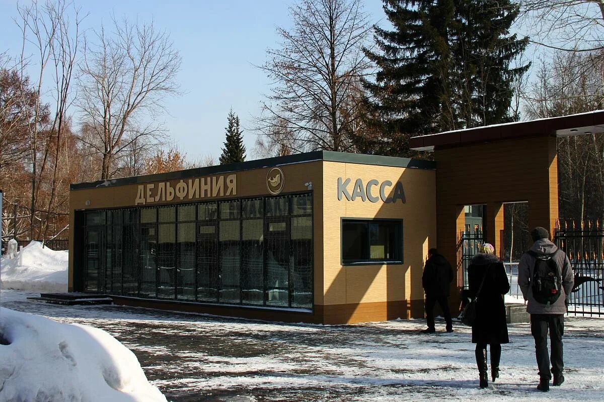 Новосибирск касса зоопарка. Остановка зоопарк Новосибирск. Дельфинарий касса Новосибирск. Кассы в Киевском зоопарке. Касса зоопарка