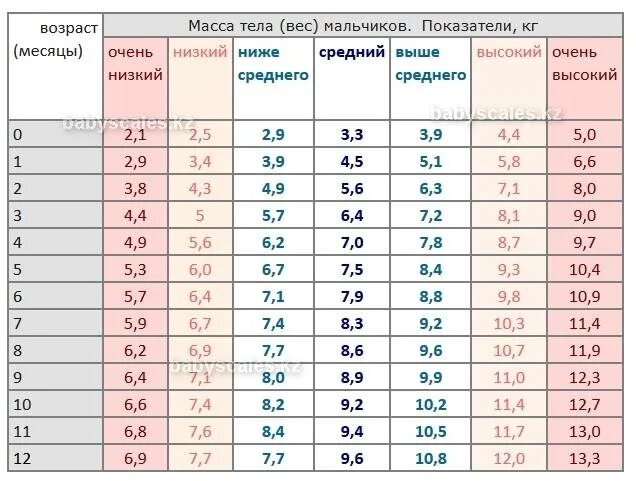 Сколько весит мальчик в 6 месяцев