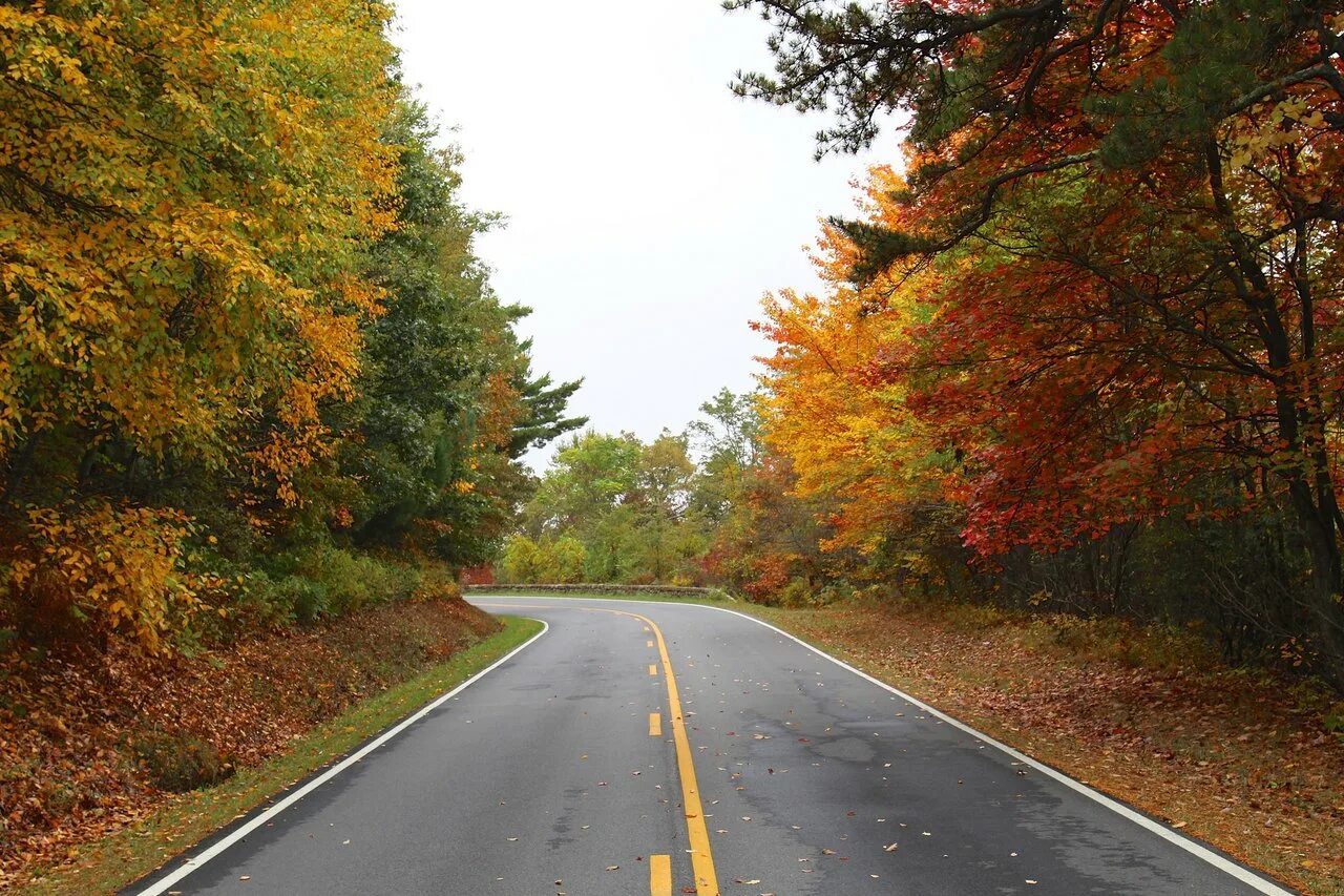 Дорога 6 метров. Дорога Вашингтон. Национальный парк Шенандоа и Skyline Drive. Country Roads Denver. Country Roads одежда.