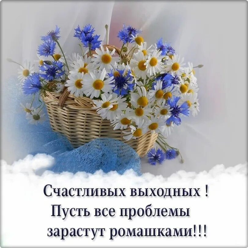 Доброго вам выходного дня