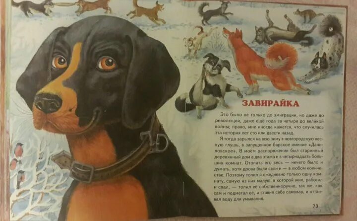 Рассказ Куприна Завирайка. Куприн Завирайка иллюстрации. Рассказы про собак для детей. Книги о собаках для детей.