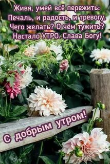 Доброе 5 сентября