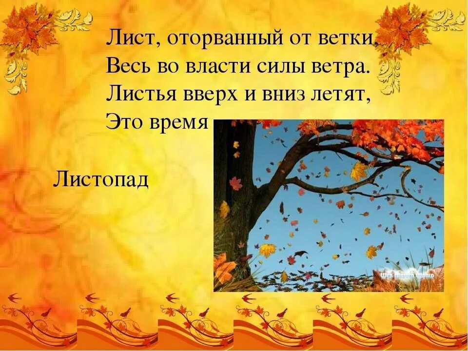 Листопад листопад листья желтые шуршат. Загадки про осень. Загадки на тему осень. Осенние загадки для дошкольников. Стихи и загадки про осень.