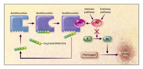 Антитромбин iii. Определение активности антитромбина 3. Антитромбин 3 понижен. Антитромбин iii. Антитромбин 3 снижен.