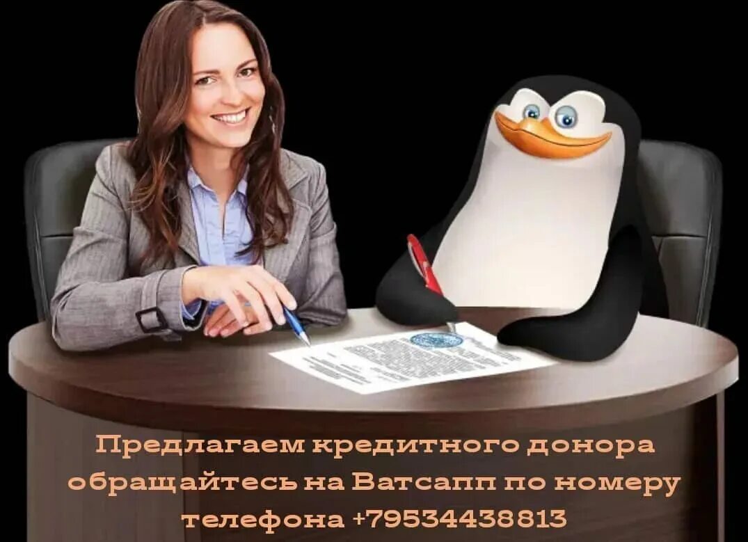 Кредитный донор. Срочно нужен кредитный донор. Ищу кредитного донора. Кредитный донор номер телефона.