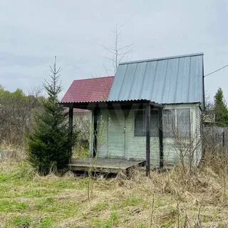Снт лесник