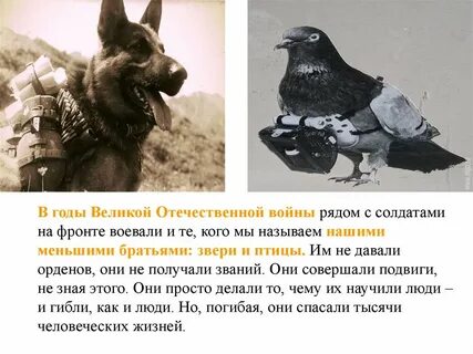 Какие животные помогали