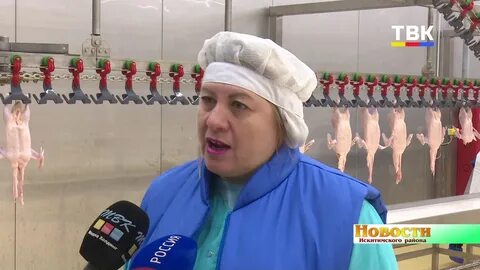 У меня сын директор птицефабрики