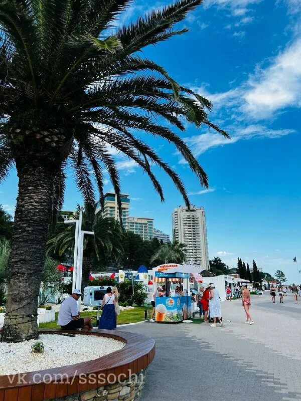 пляжи адлера 2023. пляж омега сириус сочи. отель дельта сириус адлер. юлия козыряд сочи. адлер сириус 2023.