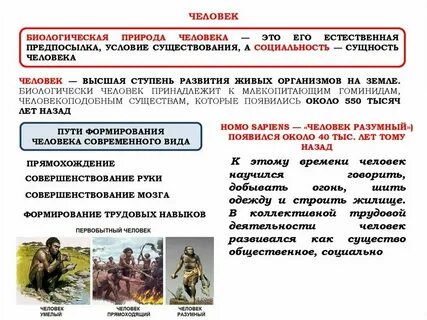 Какими характеристиками обладает человек как биологическая система