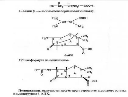 6 апк
