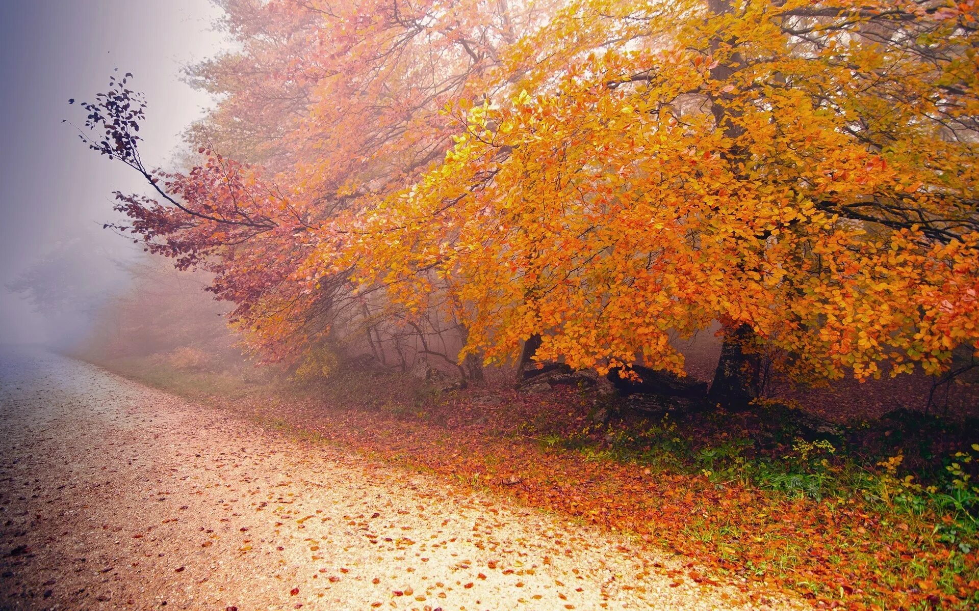 Красивая осень. Октябрь природа. Осенние обои. Осень картинки. Осеннее богатство
