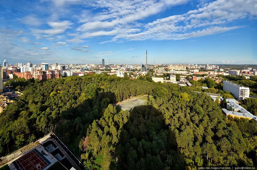 Файл:Парк Зеленая Роща - panoramio (1).jpg - Википедия