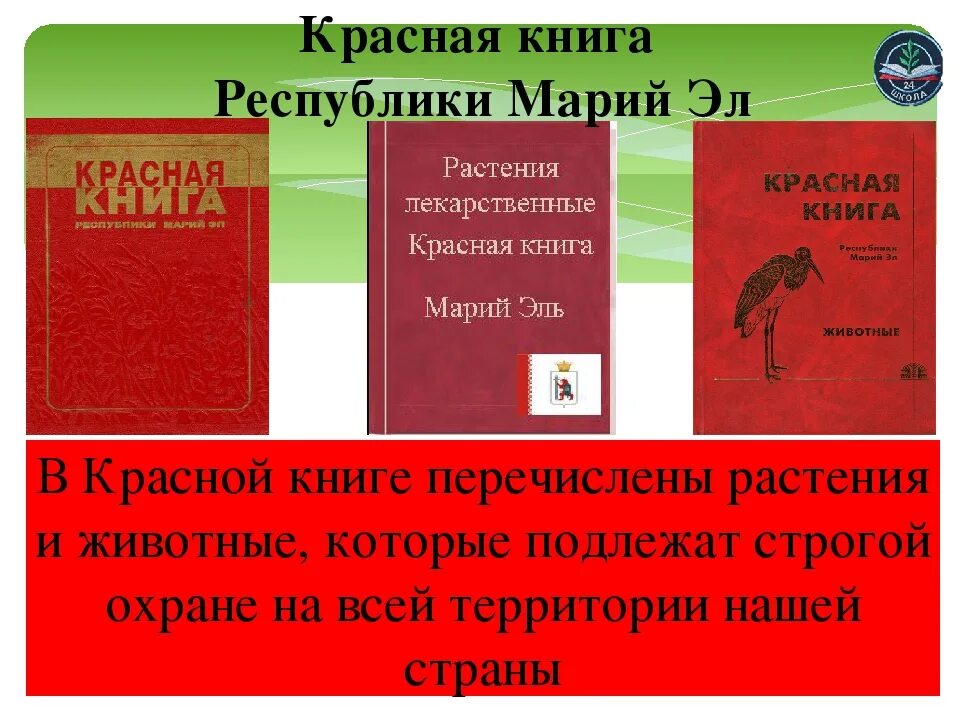 Красная книга республики марий эл животные. Красная книга республики марий. животные из красной книги республики марий эл. красная книга рм. красная книга природы.