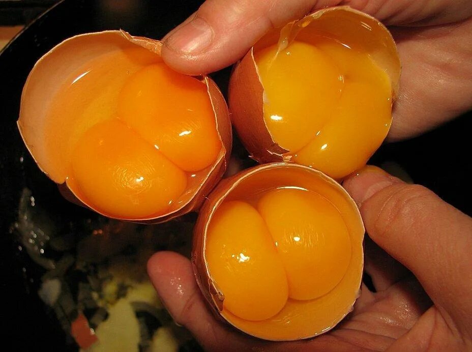 Два желтка примета. Яйцо с 2 желтками. Яйца с двойным желтком фирма. Попалось яйцо с двумя желтками. Двойной желток примета.