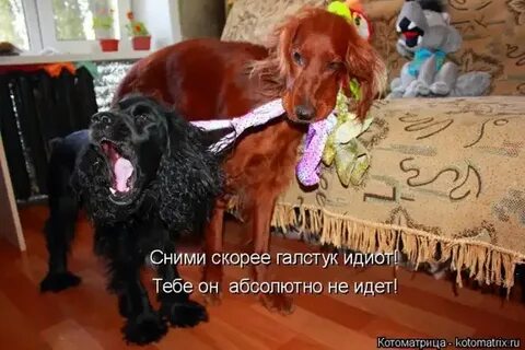 Скорей сними