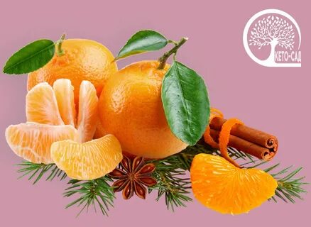 Про мандарины и новый год
