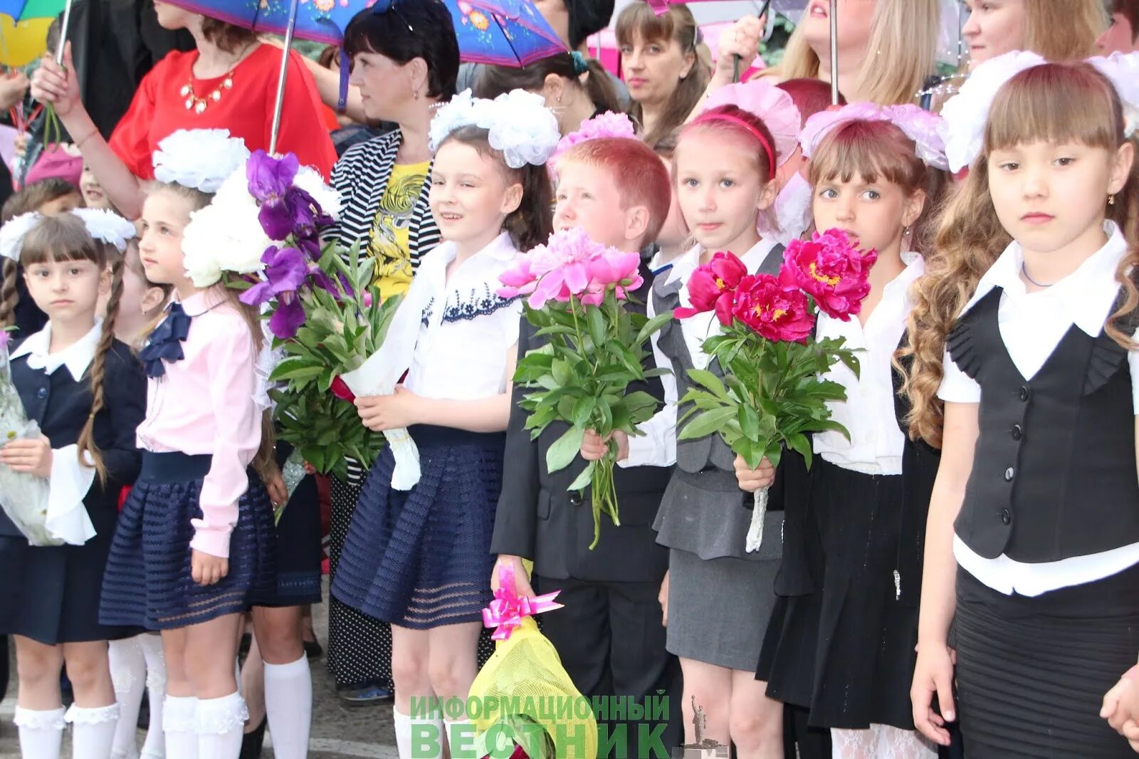 Школа 12 кировск мурманская область. Сайт школа 5 кировск. Фосагро школа кировск. Школа фосагро балаково. Фосагро школа апатиты.