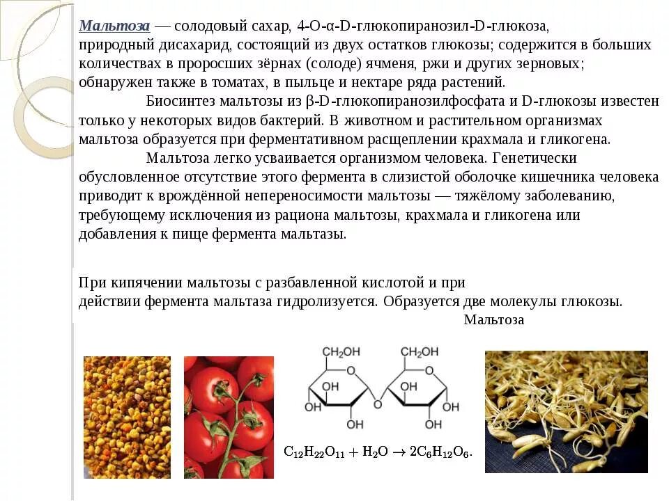 Сахароза биологическая роль. Биологическая роль дисахаридов. Биороль дисахаридов. Мальтоза биороль. Дисахарид состоящий из двух остатков Глюкозы.