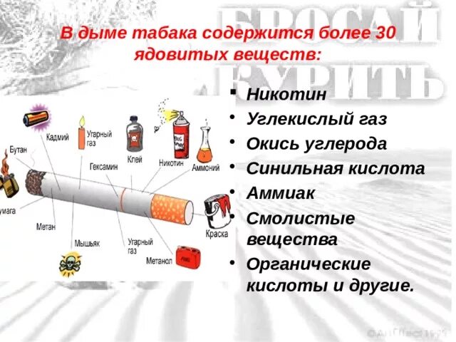 Никотин обмен веществ. В дыме табака содержится более 30 ядовитых веществ. Что содержится в табачном дыме. Синильная кислота в табачном дыме. Опасные вредные вещества содержащиеся в табачном дыме.