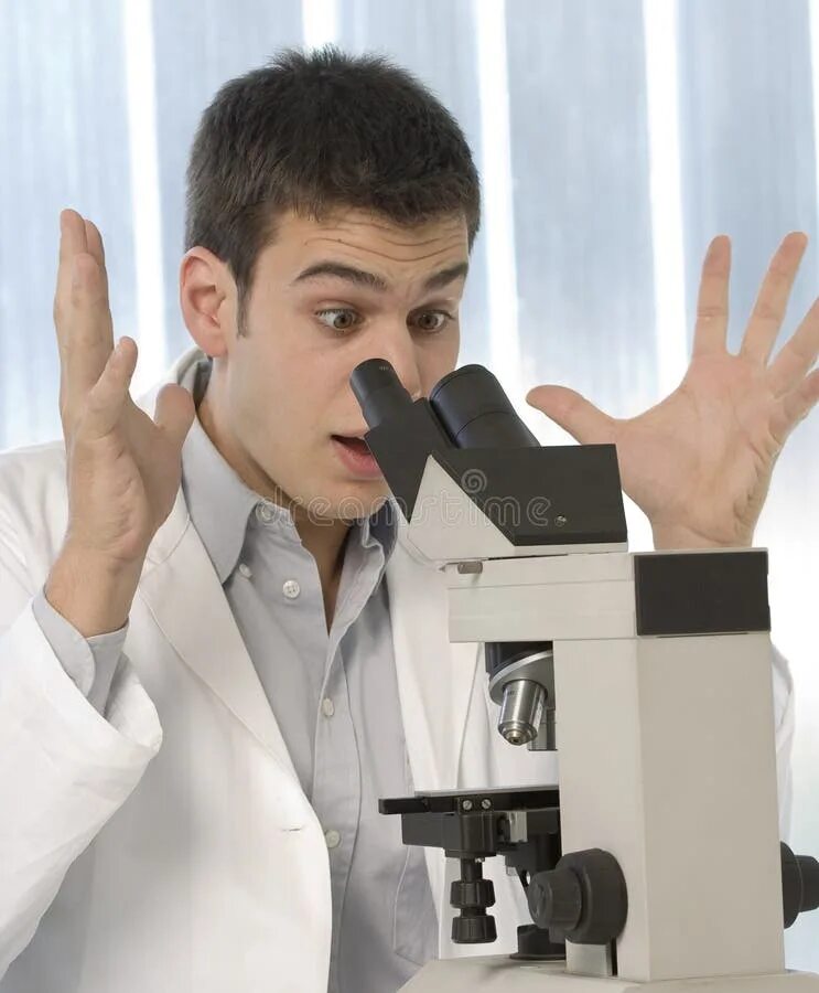 The scientist discovered