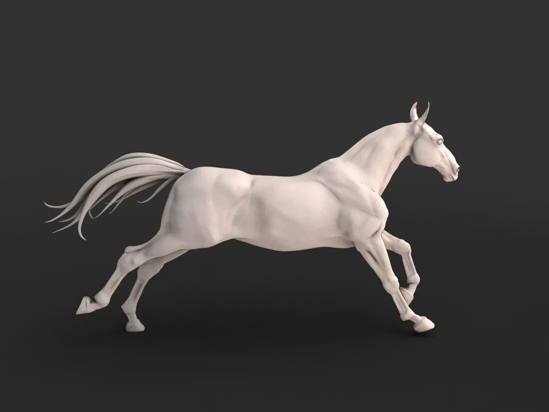 Horses model