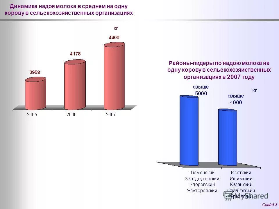 надои молока на 1 фуражную корову. молока. надой на 1 корову в год. надой. надой отзывы.